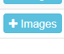 Click blue '+ Images' button